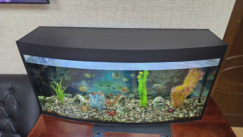 AKVARIUM sotiladi