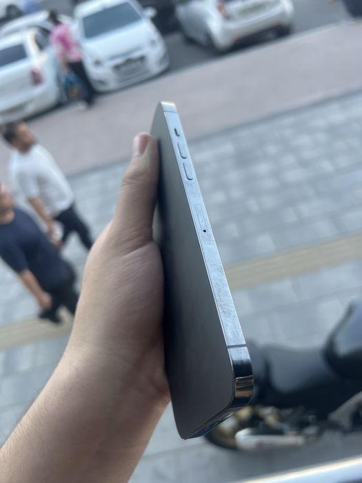 12Pro Max hammayogi radnoy