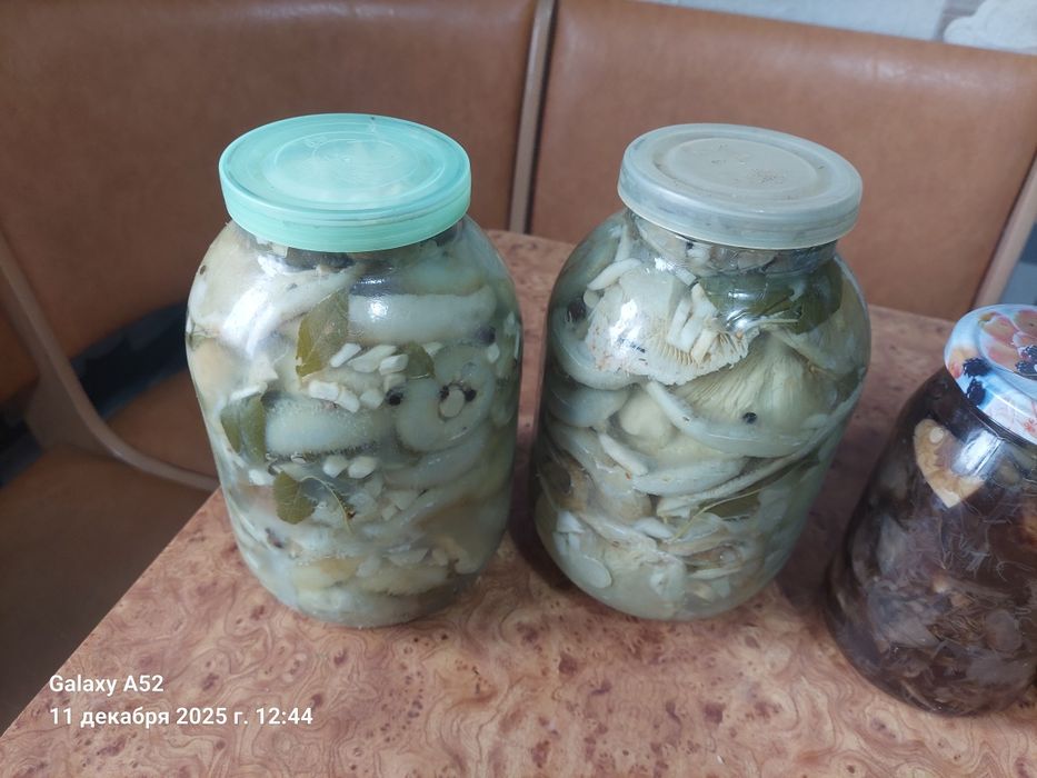 Продам маринованные грибы
