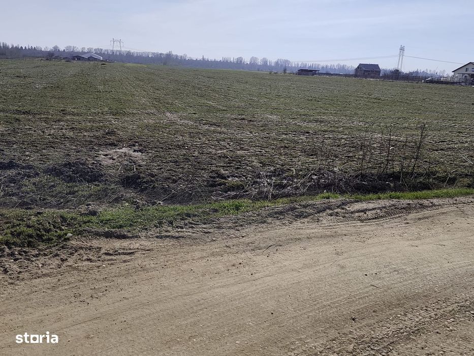 FARA COMISIOANE in Sabareni teren in suprafata de 23200mp gaze curent
