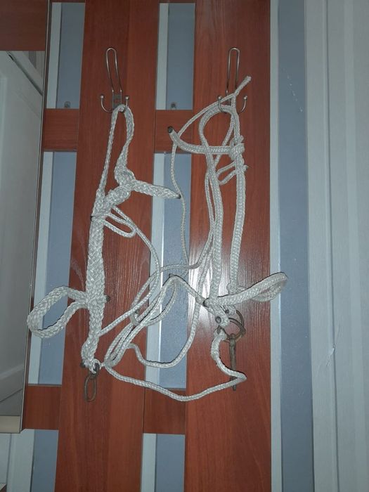 Ноқта Жүген сатылады