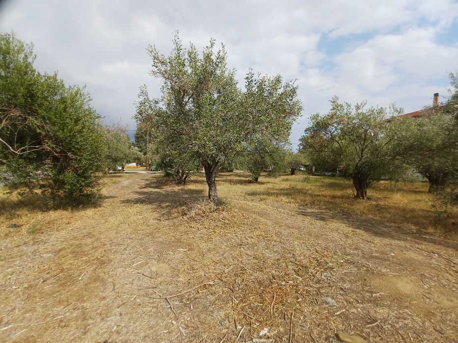 Продава парцел с площ 1380 м2 в регулация в Паралия Врасна, Гърция