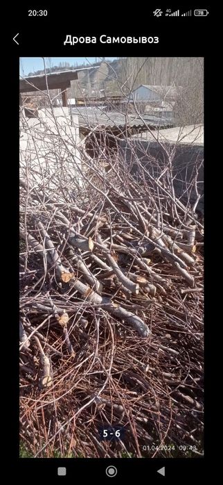 Утин дрова сотилади