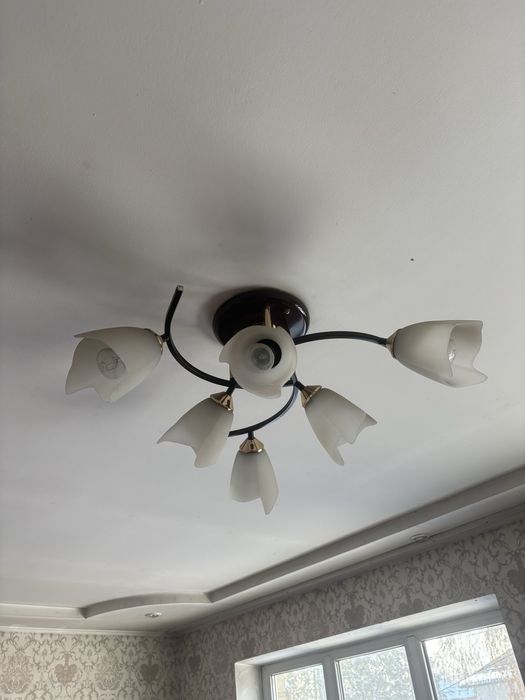 Отдам бесплатно самовывоз