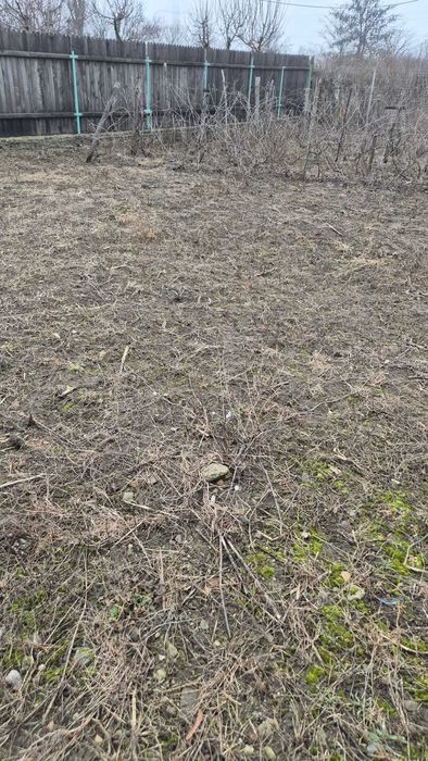 Vand casa si teren in sat Darvari jud Prahova strada principala