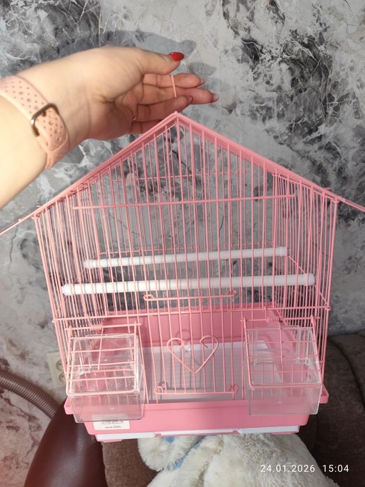 Новая клетка для попугая.