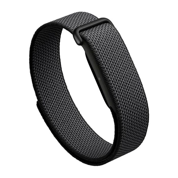 Google Fitbit Air