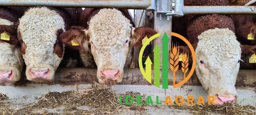 VILOFOSS mineral ozuqalari, Premiks