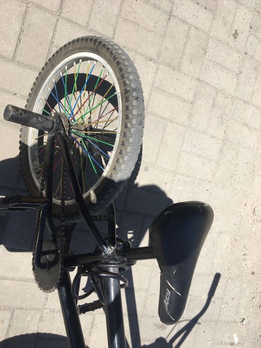 Велик обычный