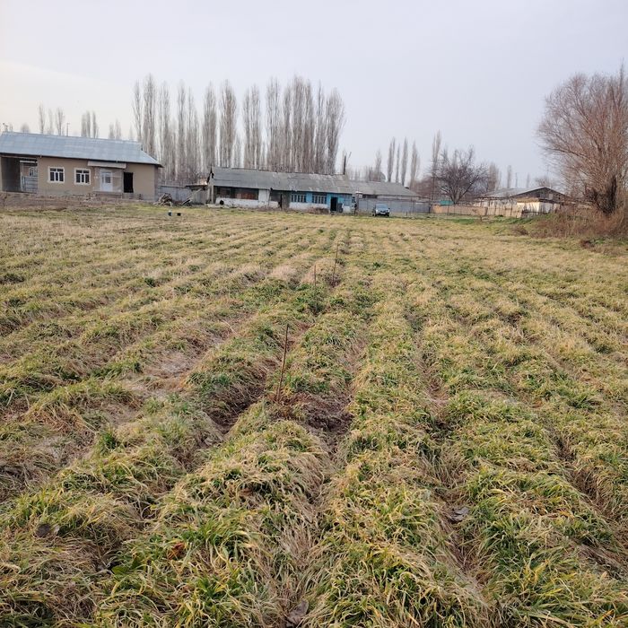 Тошкент вилояти, Бўка туманида 33 сотихли ер майдони сотилади.