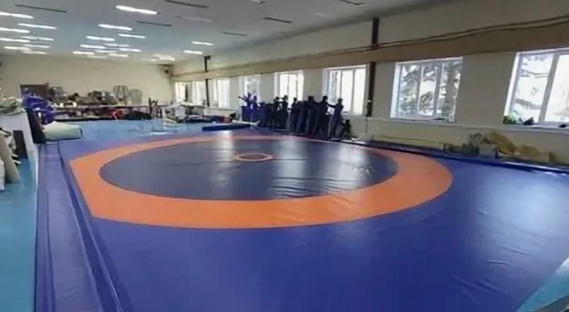 БОРЦОВСКИЙ ковер любого размера