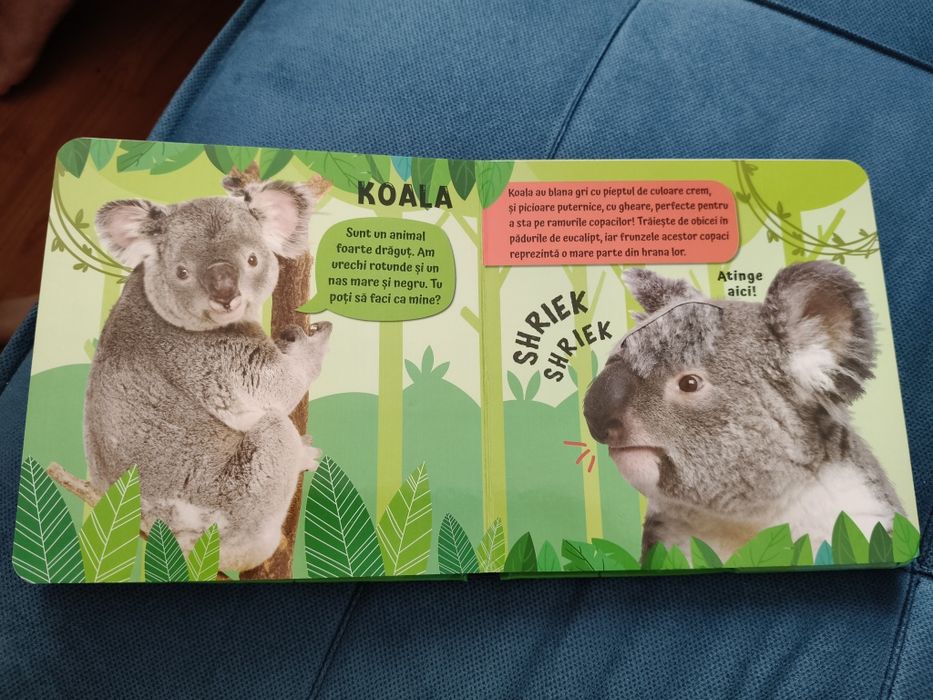 Carte mangaie, simte si asculta