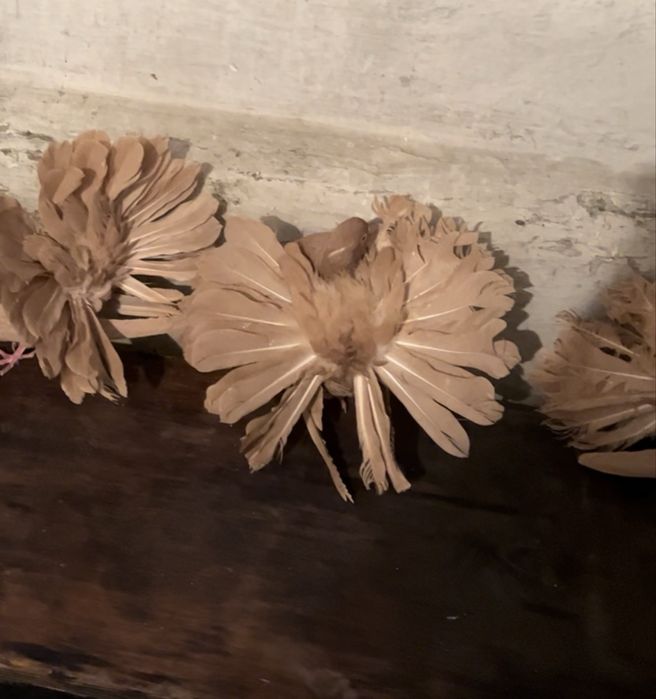 Продам голубей павлинов