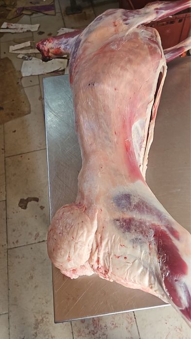 Баранина тушевая