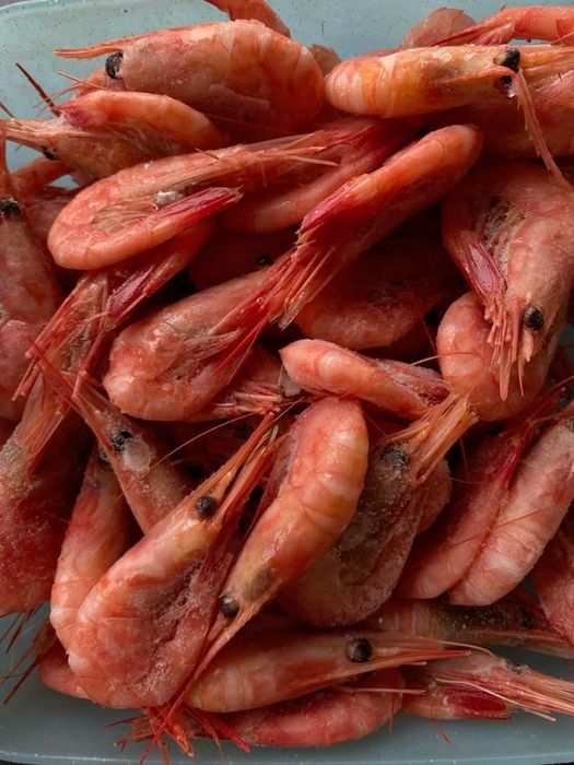Продам раков, креветок и крабов