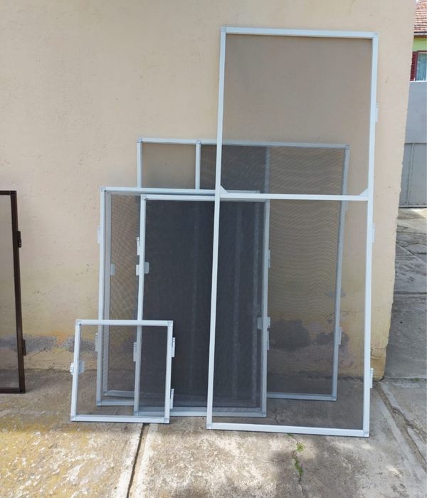 Plase insecte/ tantari