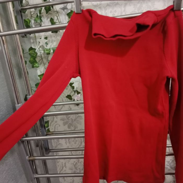 водолазка красная