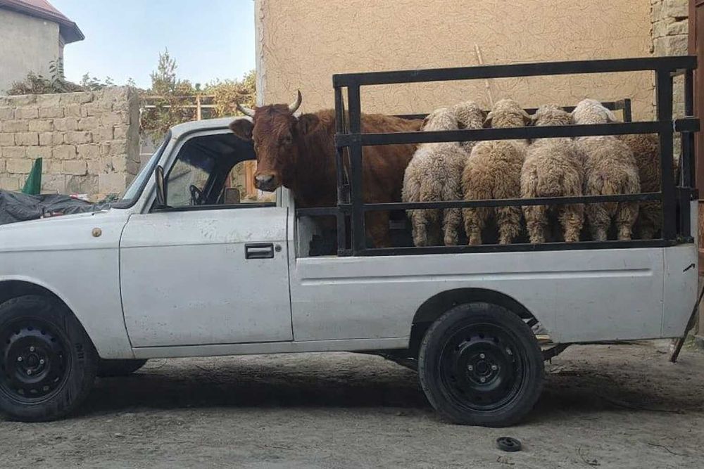 Yuk tashish xizmati Qashqadaryo