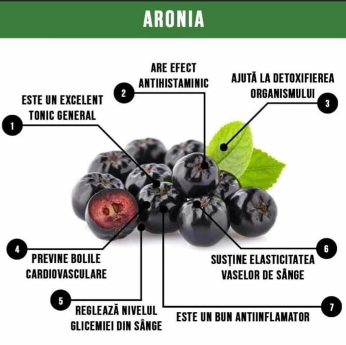 Fructe Aronia Melanocarpa