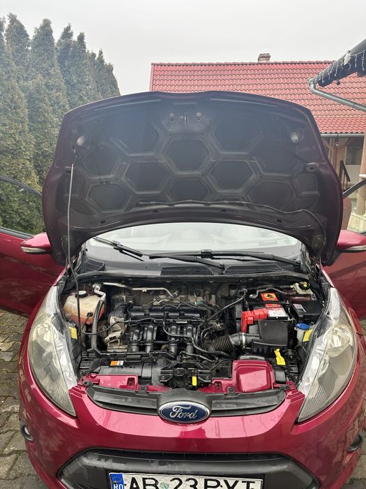 Vand Ford Fiesta