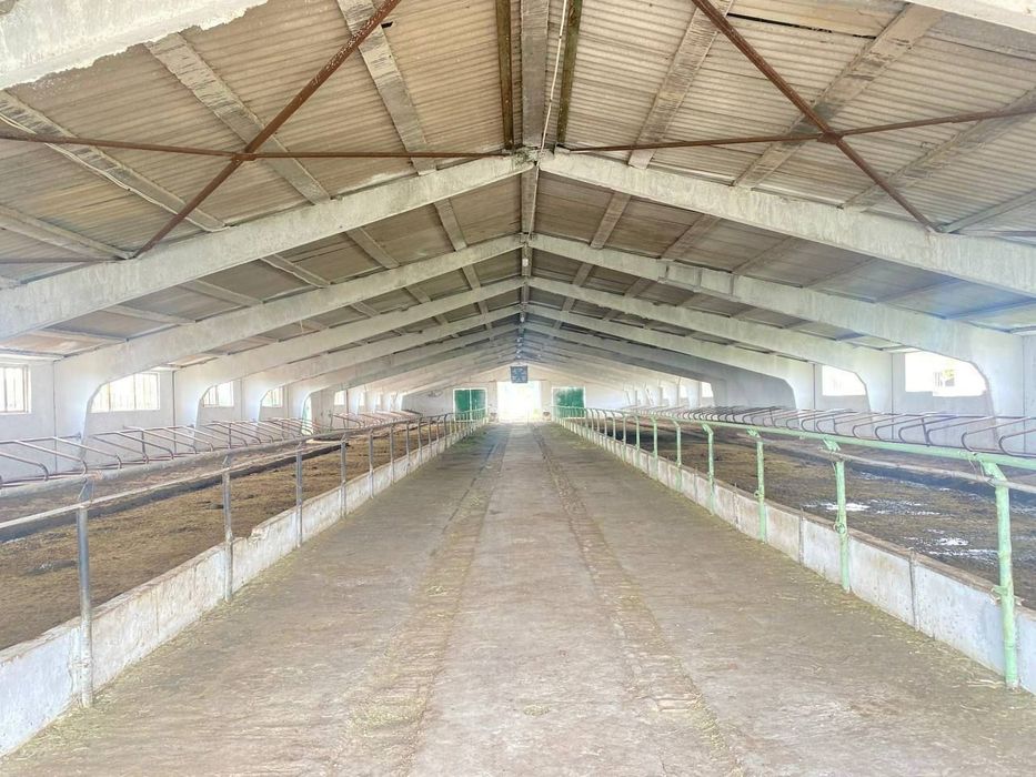 Продаётся фермерское хозяйство