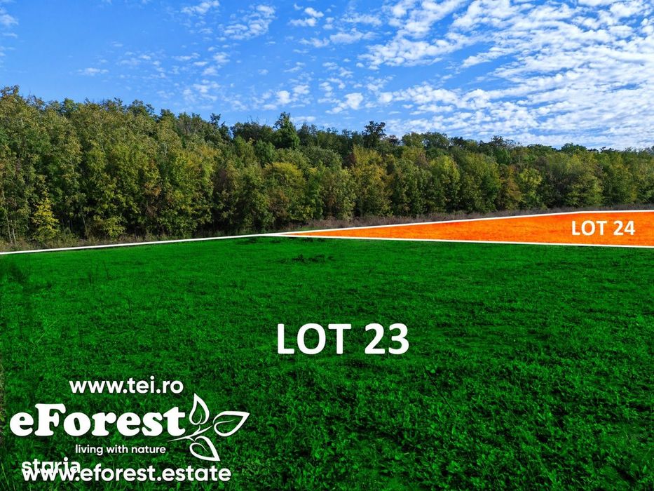 Loturi de teren în eForest, după Buftea, cu acces direct la DN1A