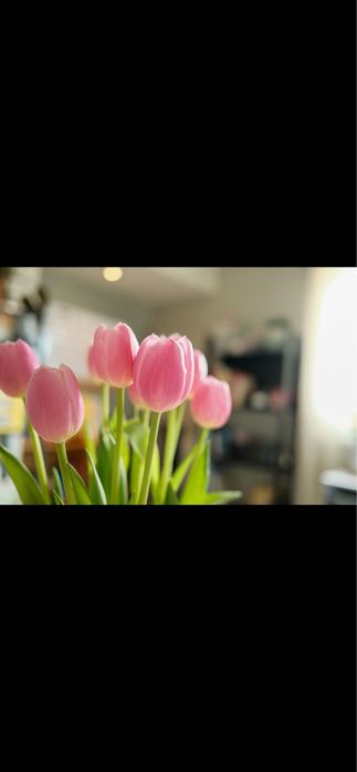 красивые букеты тюльпанов для 8 марта