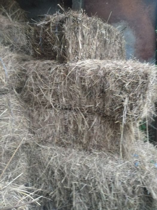 Продавам бали сено, бали слама и бали люцерна
