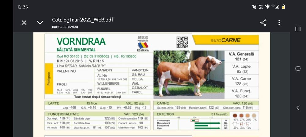FERMĂ DE BOVINE | Vaci • Junici • Vițele • Viței înțărcați • Tauri | Bălțată Românească – Simmental