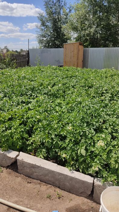 Продам ухоженую дачу на Федоровке