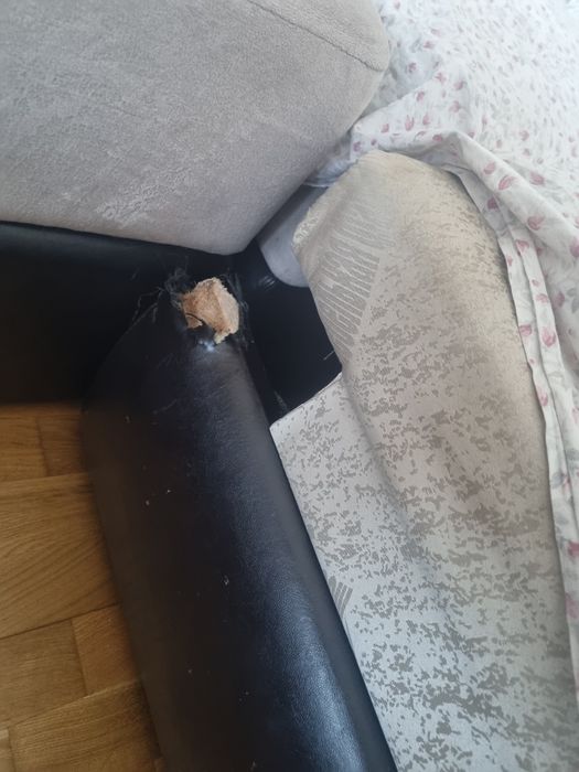 Диван  бесплатно Россия