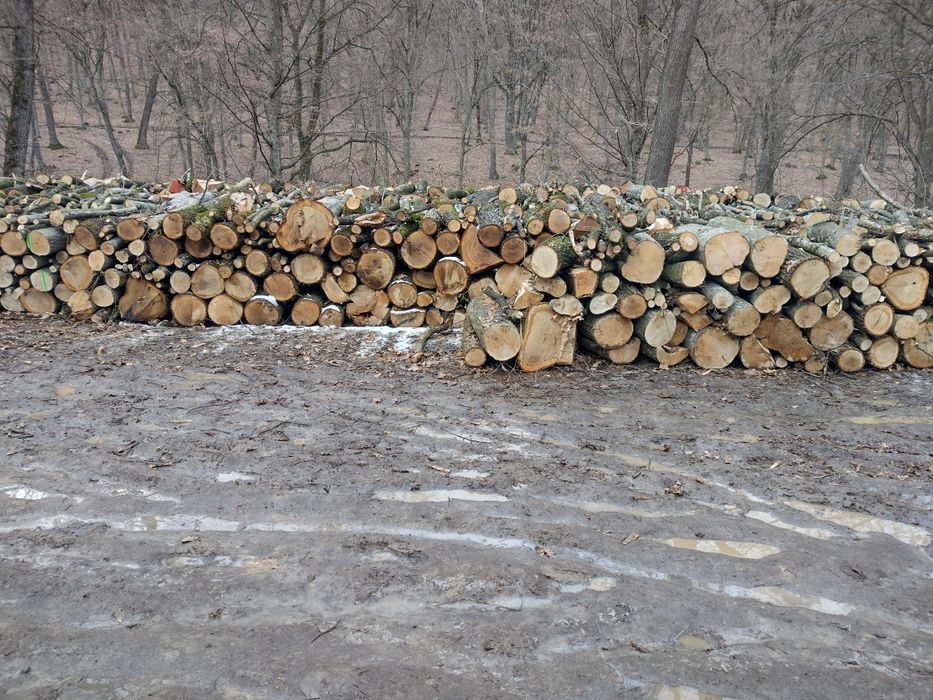 Lemne de foc esență