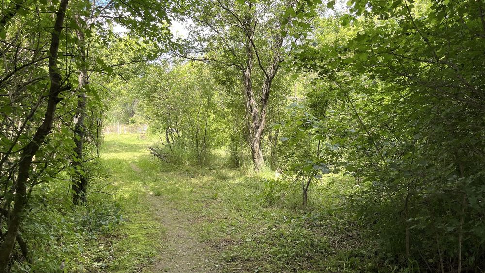 Продава се Парцел в Пловдив, Индустриална зона - Тракия - 578 кв.м за 10 €/кв.м - Снимка #4