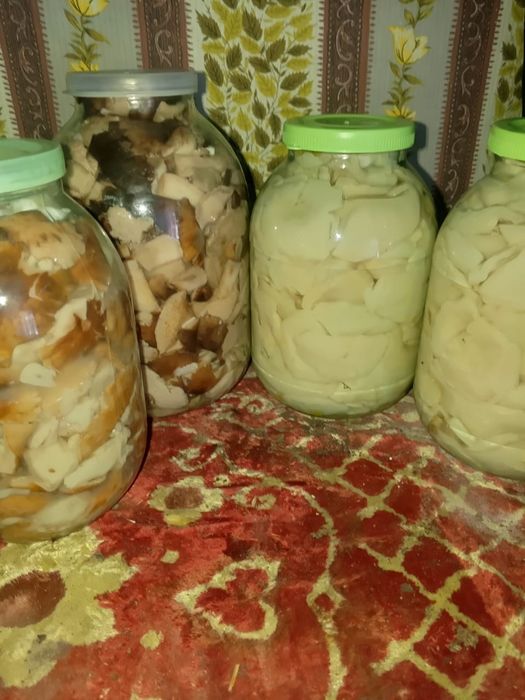 Продам валуи и грузди