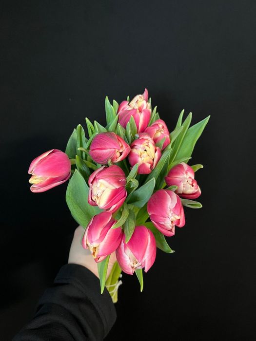 Тюльпаны пионовидные премиум