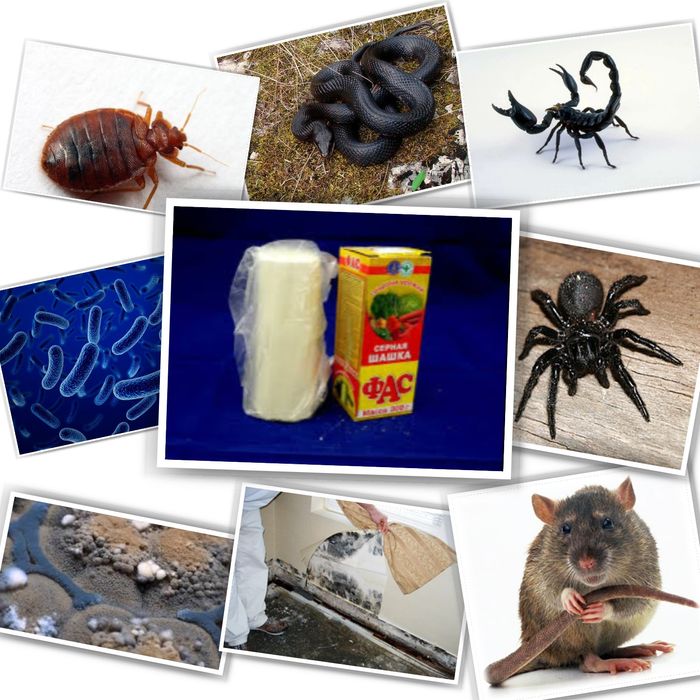 Скидка на 10дней Серная шашка фас