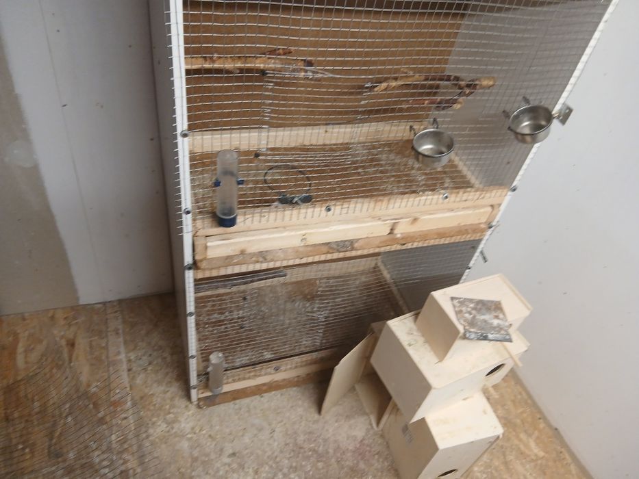 Rastel cusca papagali 3 compartiment