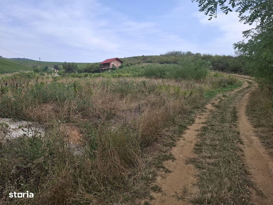 Vand teren intravilan 2200 mp,Ghioroc