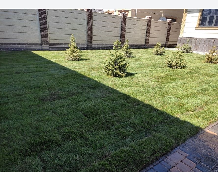 ГАЗОН Посадка Укладка