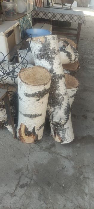 Дрова березы пеньки