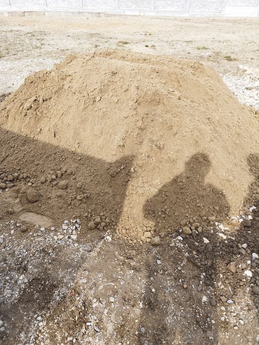 Chisai de gradina sau gazon mranita