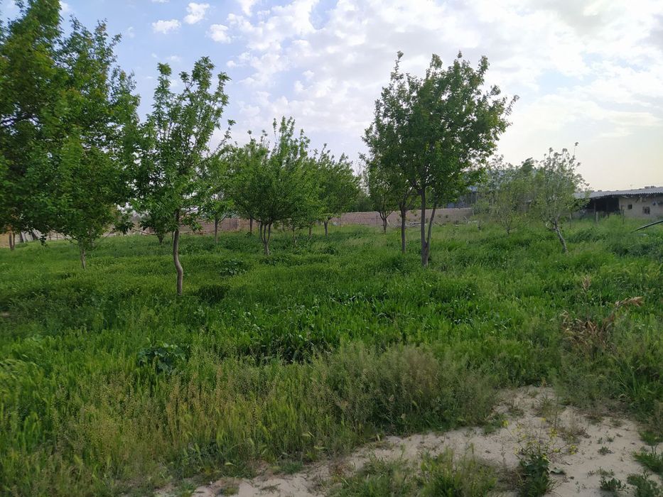 Hovli uy sotiladi tez kunda