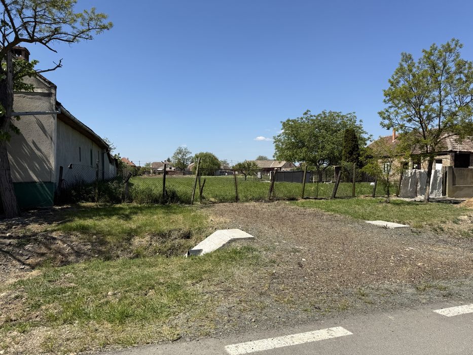 Proprietar, vand Teren intravilan in comuna Cenei judetul Timis, strada Mesteacanului