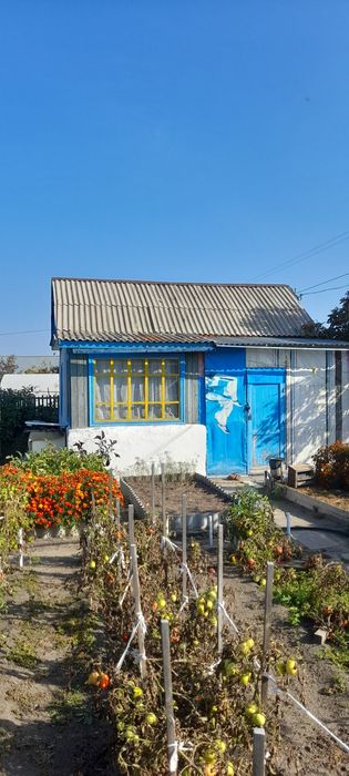 Продам дачу СО"Геолог",1-я улица.