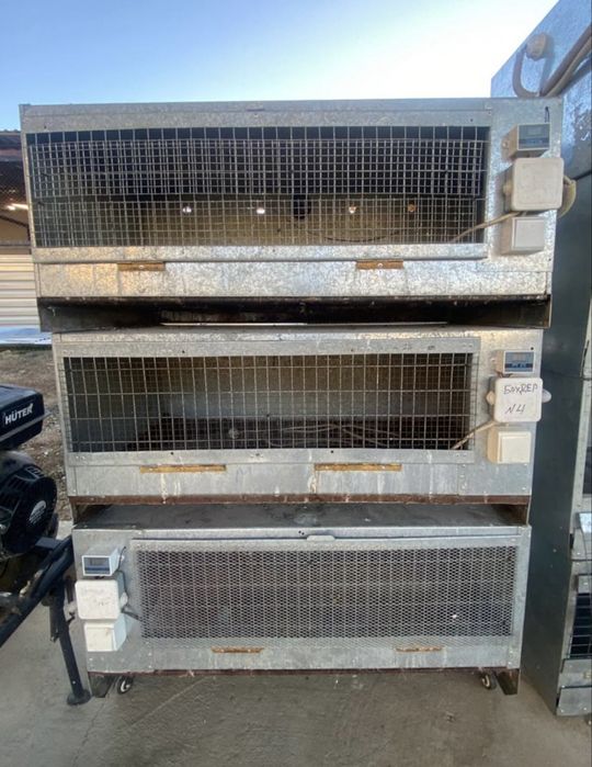 Брудер для птиц куры, гуси, перепелки