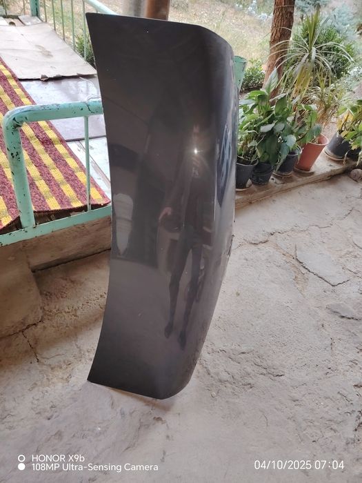 Kobilt bagaj miyatina si bor radnoy