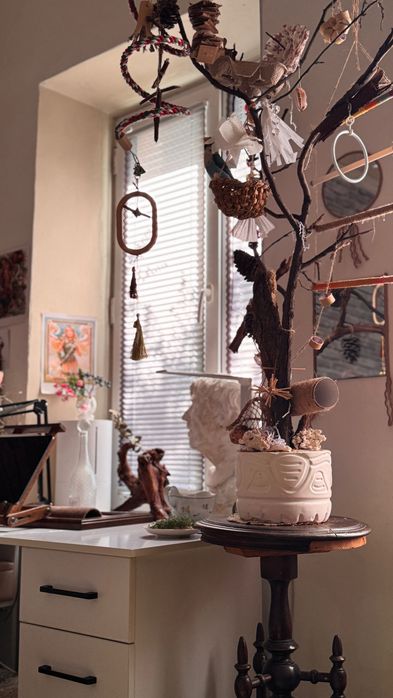 Продается попугай неразлучник с клеткой, игрушками и кормом