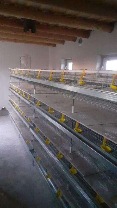 Бедана сетка 2200 даналик 12,5млн сом