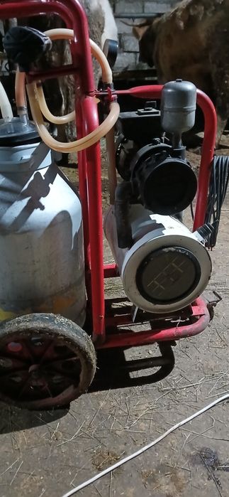 Апартаменты доильный