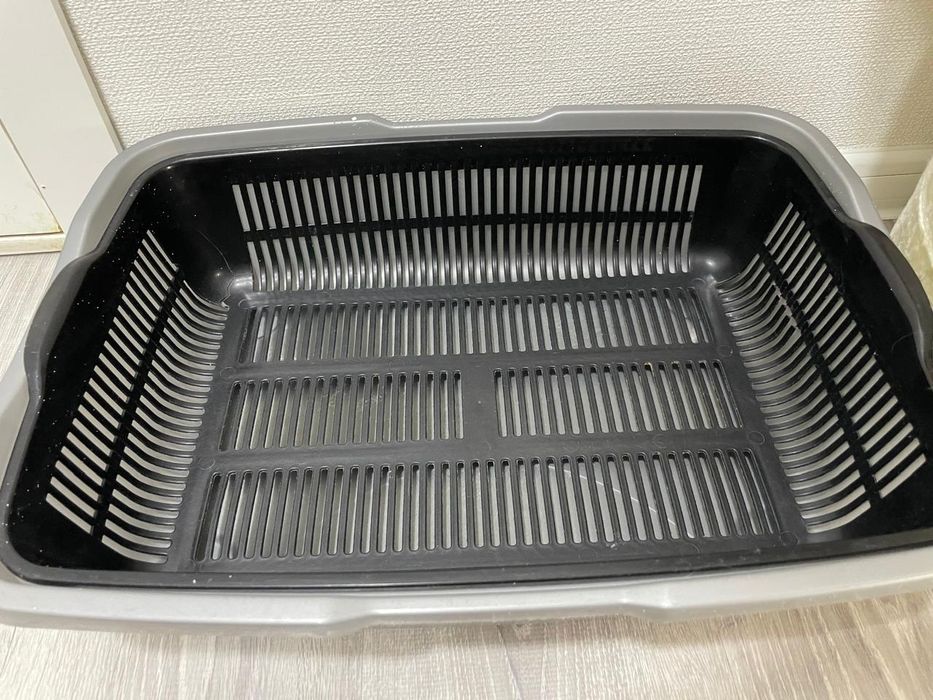 Отдам кошку срочно